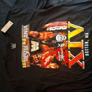 Stone Austin vs ShawnMicheals1996